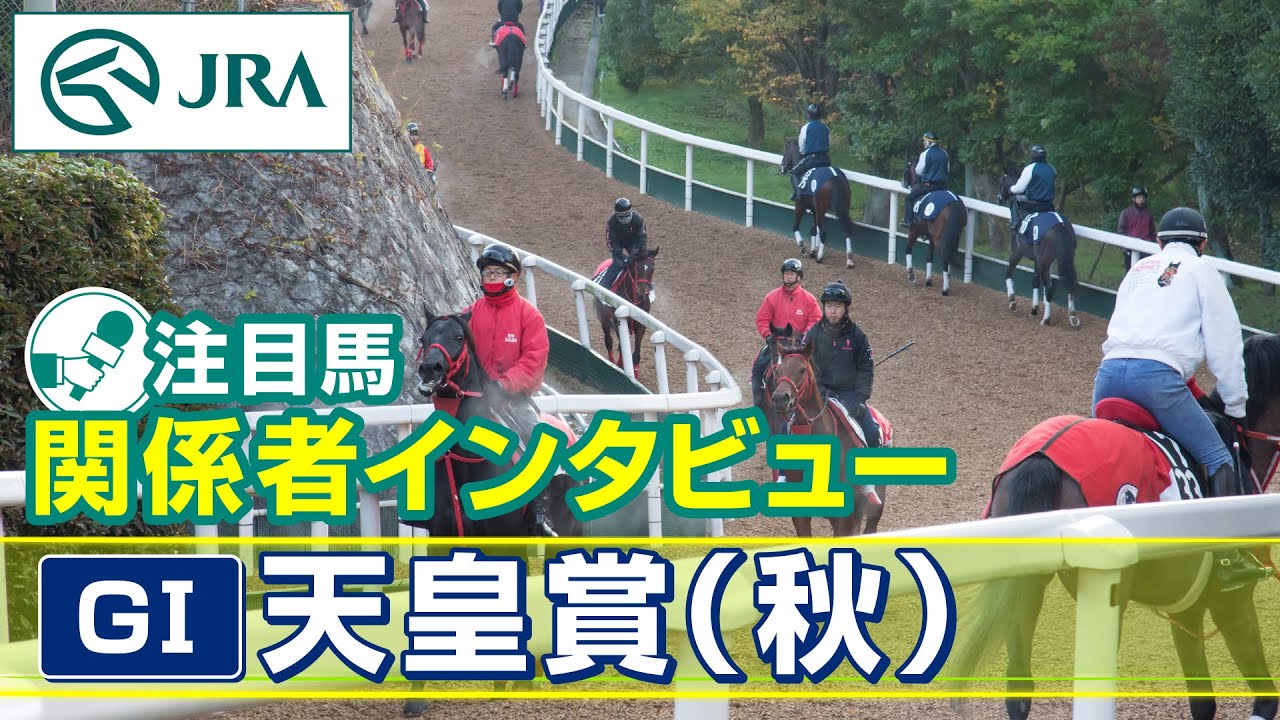 【注目馬 関係者インタビュー】2024年 天皇賞（秋）｜JRA公式
