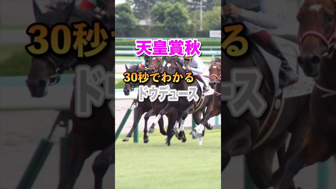 【天皇賞秋2024】30秒でわかるドウデュース