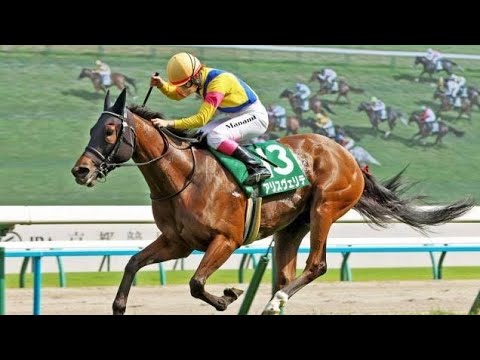 【エリザベス女王杯想定馬・騎手】レガレイラ、スタニングローズなど16頭8コメント8件￼￼￼rt
