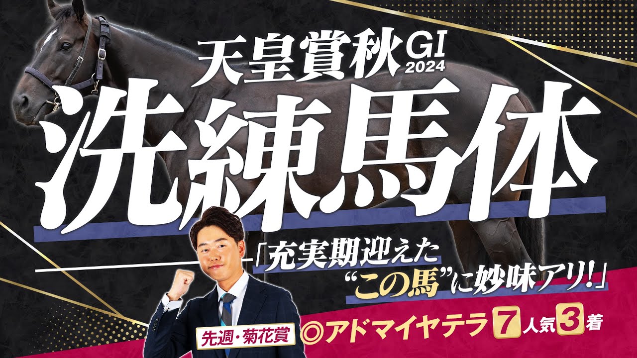 【天皇賞・秋 2024】菊花賞◎アドマイヤテラが7人気3着！今週は適性ピカイチ＋充実期迎えたこの馬から勝負！馬体診断・フォトパドック【競馬予想】