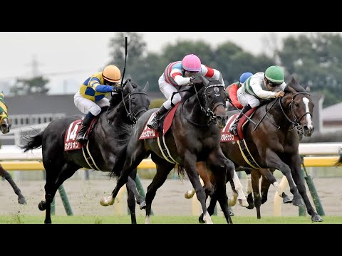 【重賞】第27回富士S実況[優勝馬　ジュンブロッサム　戸崎圭太騎手]