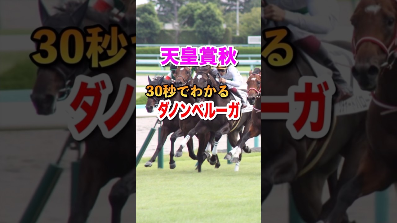 【天皇賞秋2024】30秒でわかるダノンベルーガ