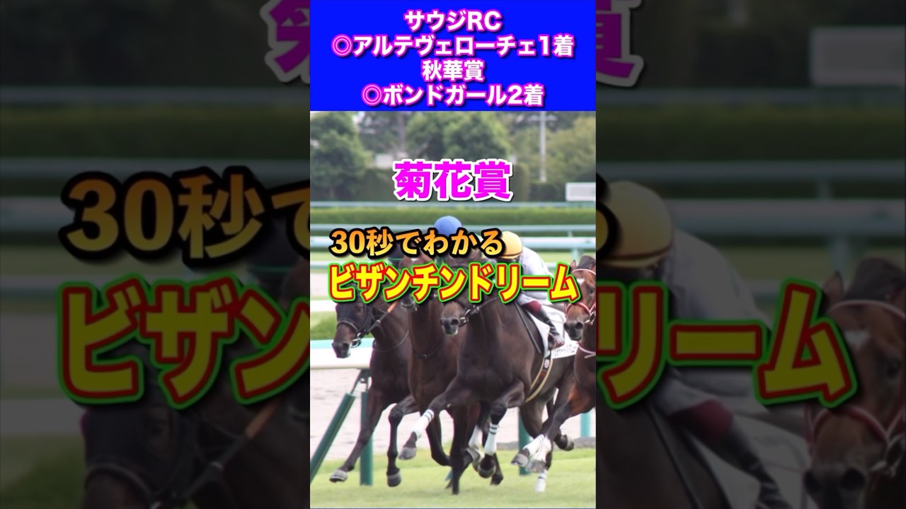 【菊花賞2024】30秒でわかるビザンチンドリーム