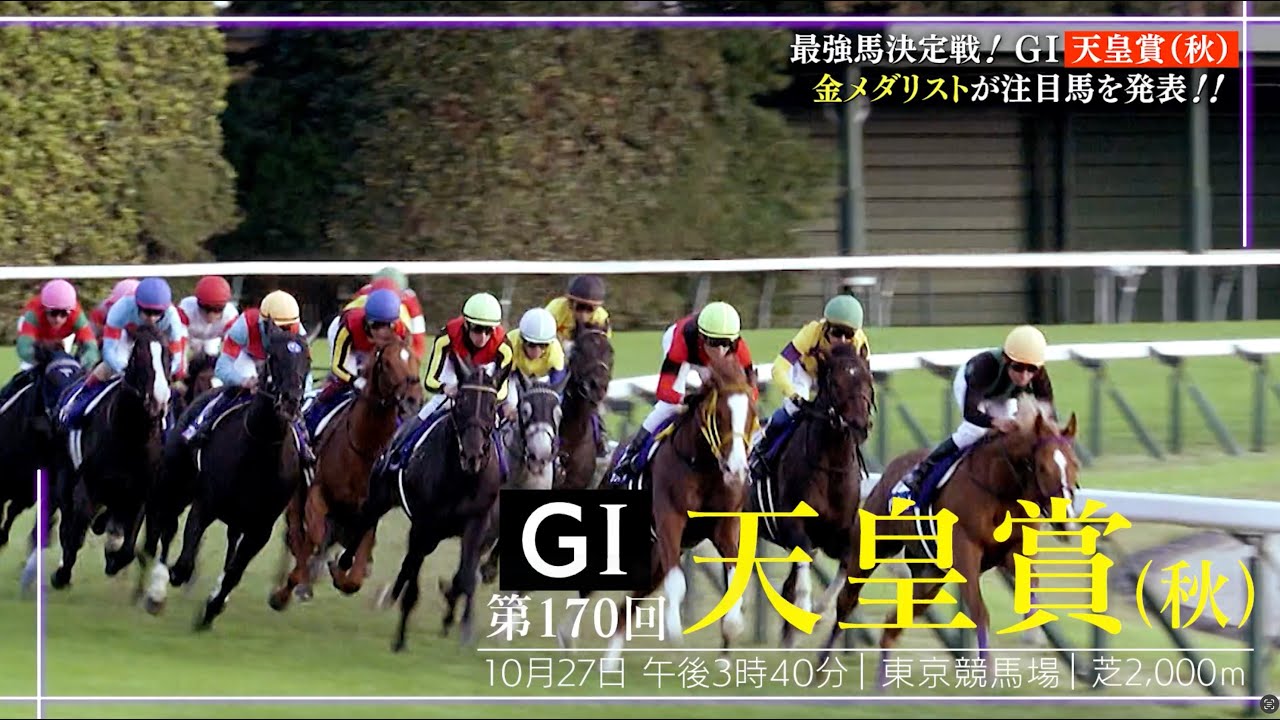 【天皇賞・秋】最強馬決定戦！競泳金メダリストが注目馬を発表！