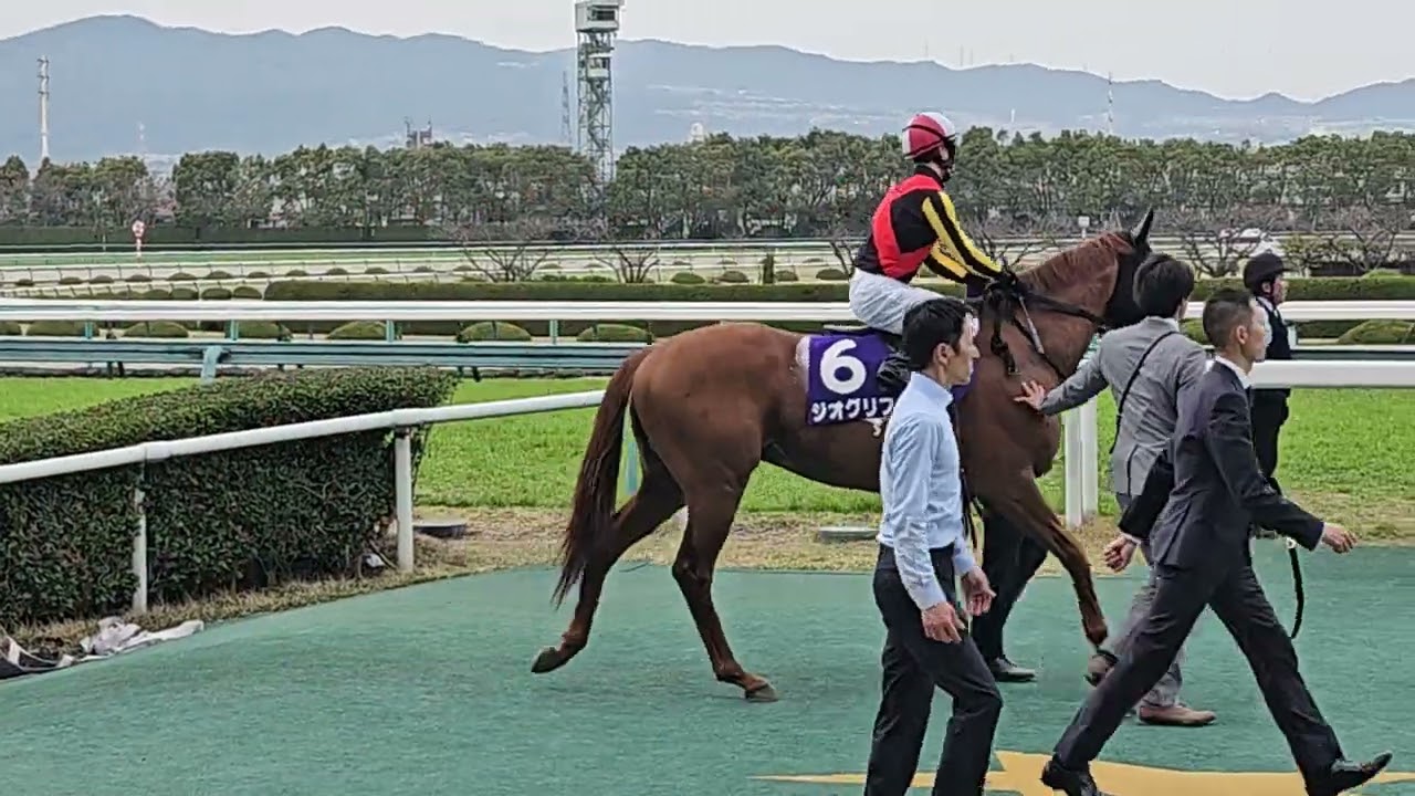 大阪杯2024 本馬場入場