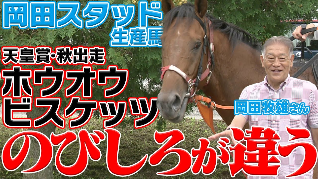 【天皇賞・秋】穴馬発見！？ GI馬たちに真っ向勝負！気になる夏の上がり馬の秘密とは…！｜ウイニングTube