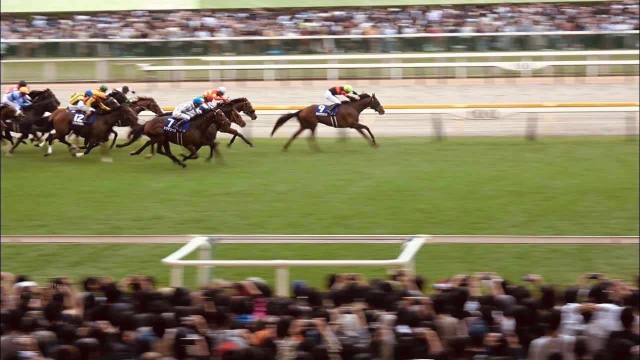 【天皇賞秋2024】現地レース映像 武豊 ドウデュース【上がり3F 32.5の衝撃】