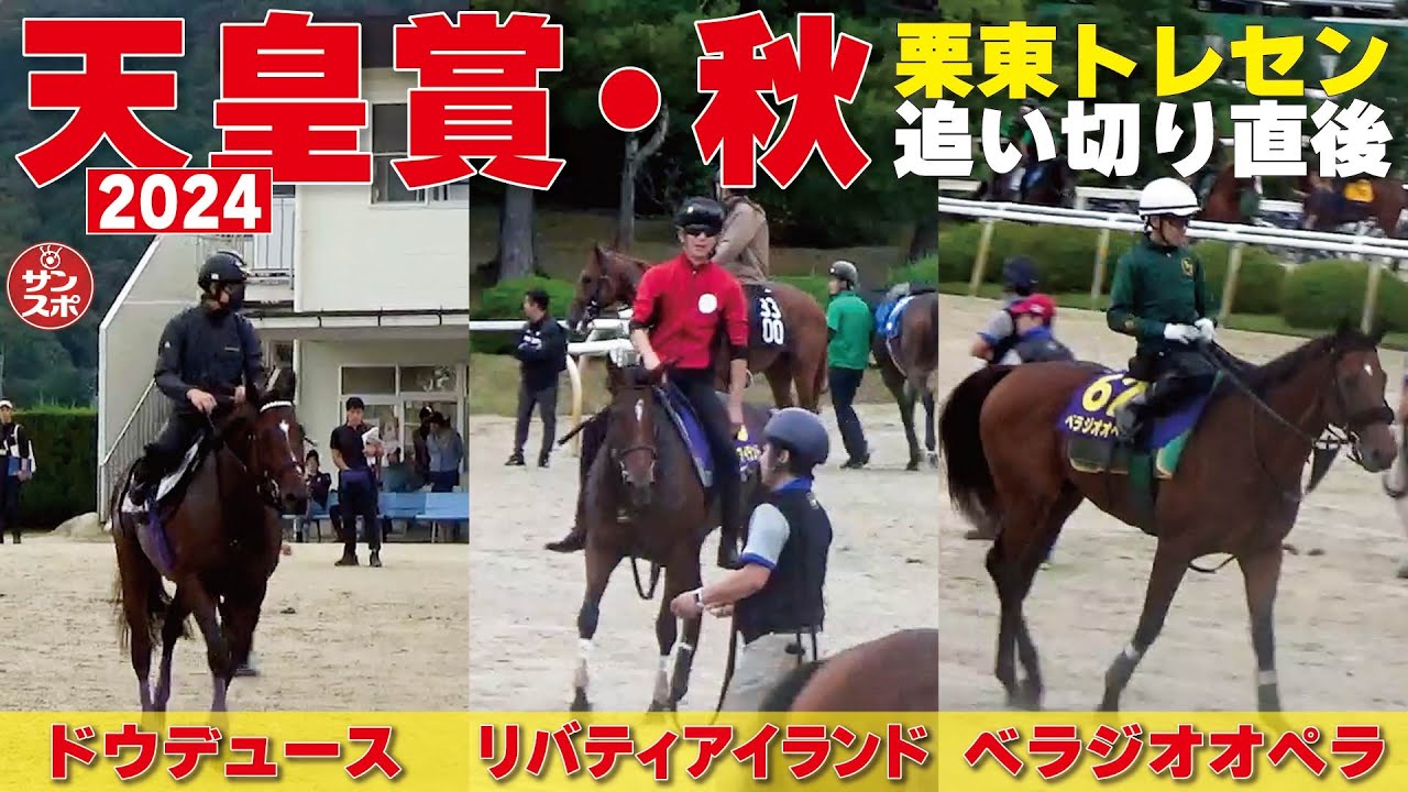 【2024天皇賞・秋 ドウデュース&リバティアイランド&ベラジオオペラ】最終追い切り後の様子