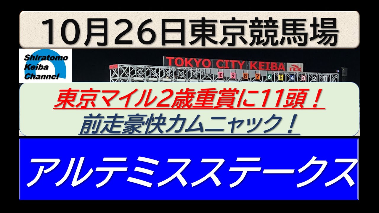 【競馬予想】GⅢアルテミスステークス！～２０２４年１０月２６日 東京競馬場 ：１０－５５