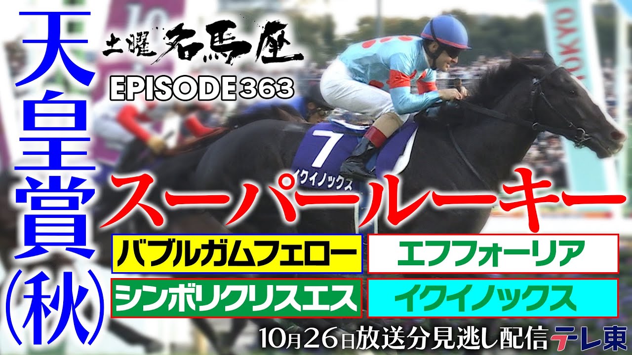 【スーパールーキー】天皇賞（秋）で古馬を蹴散らした３歳馬たち｜土曜名馬座【公式】