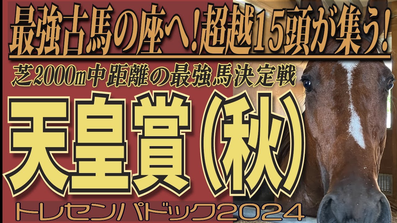 ※注・ドウデュースに胸キュン❤《天皇賞（秋）》中距離最強古馬の座を競う15頭の勇姿を！　トレセンパドック2024