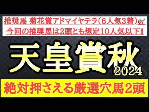 【天皇賞秋2024】厳選穴馬予想！Bコース替わりの馬場と想定される展開を踏まえて激走する可能性ある2頭を公開！