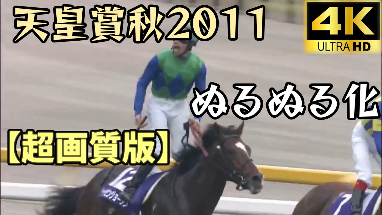 【超画質版】トーセンジョーダン 天皇賞秋 ぬるぬる化で見よう 2011 conv to 60fps