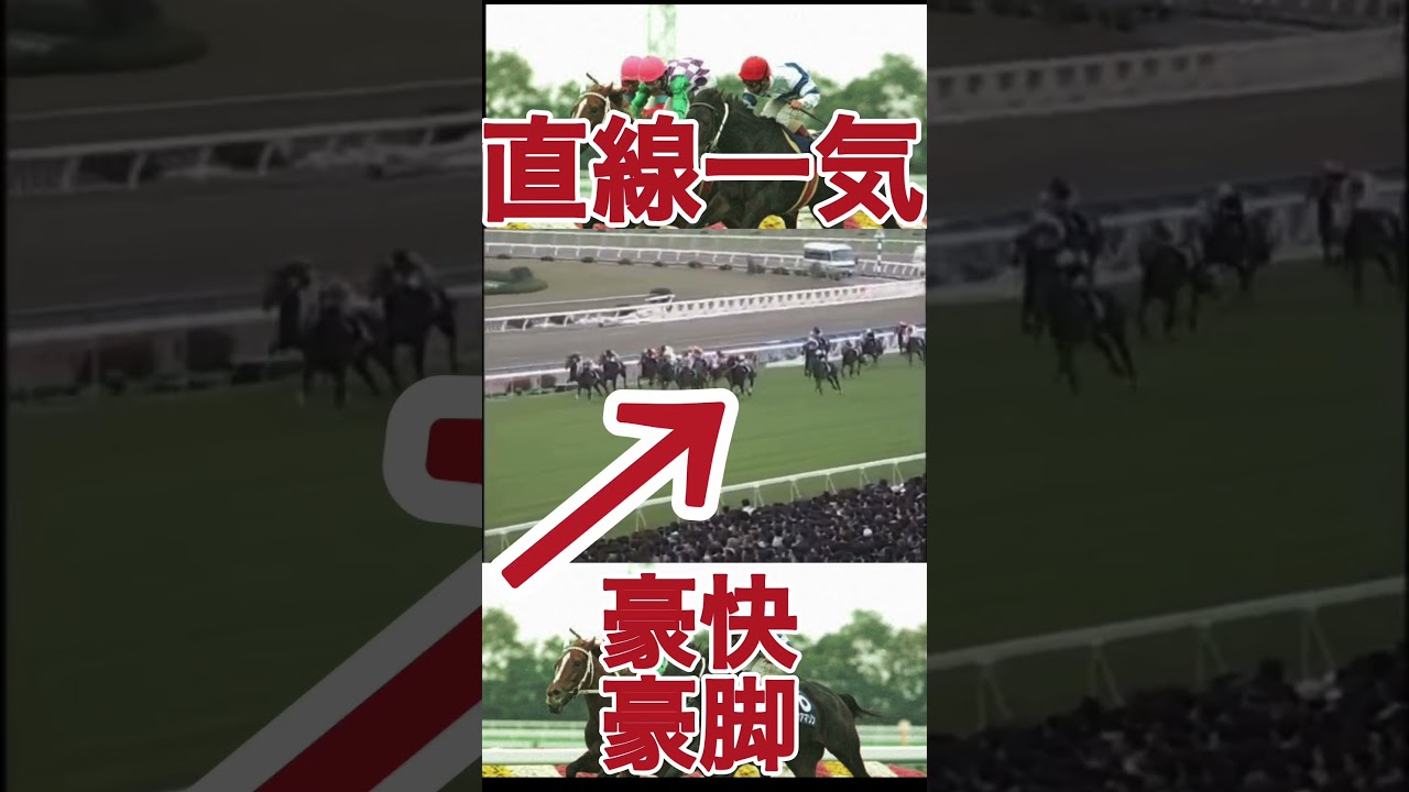 ✨最後方からの豪脚✨ヒシアマゾン🐎#競馬 #思い出の名馬たち #ヒシアマゾン #shorts #horse #エリザベス女王杯