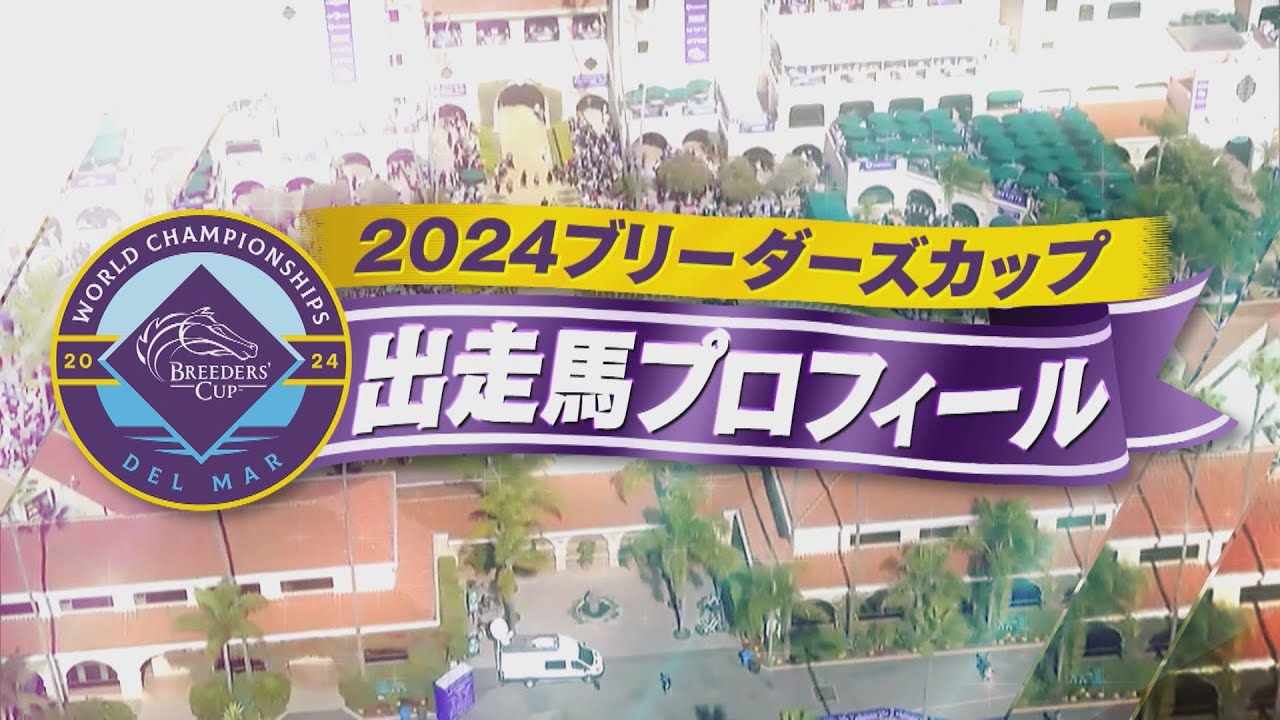 2024ブリーダーズカップ出走馬紹介  |  JRA公式