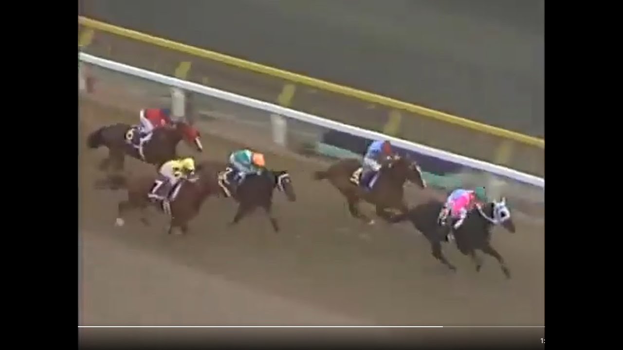 1984年毎日王冠 天皇賞秋 ジャパンカップ 有馬記念