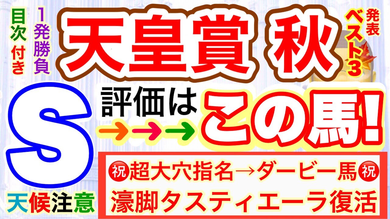 穴党専科❣️しーいちの天皇賞秋 2024【最終追い切り評価】ベスト３発表！レーベンスティールのルメール騎手→絶好調も