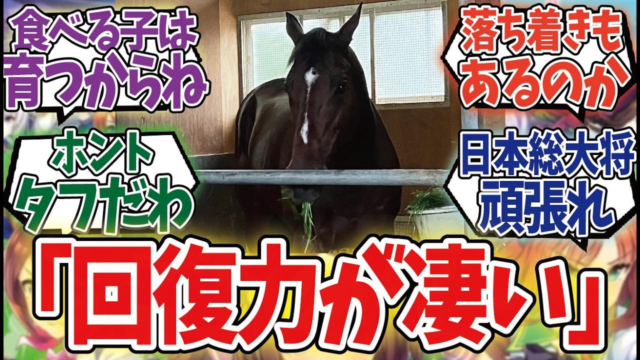 「ドウデュース陣営、ジャパンカップ行きを明言」に対するみんなの反応集