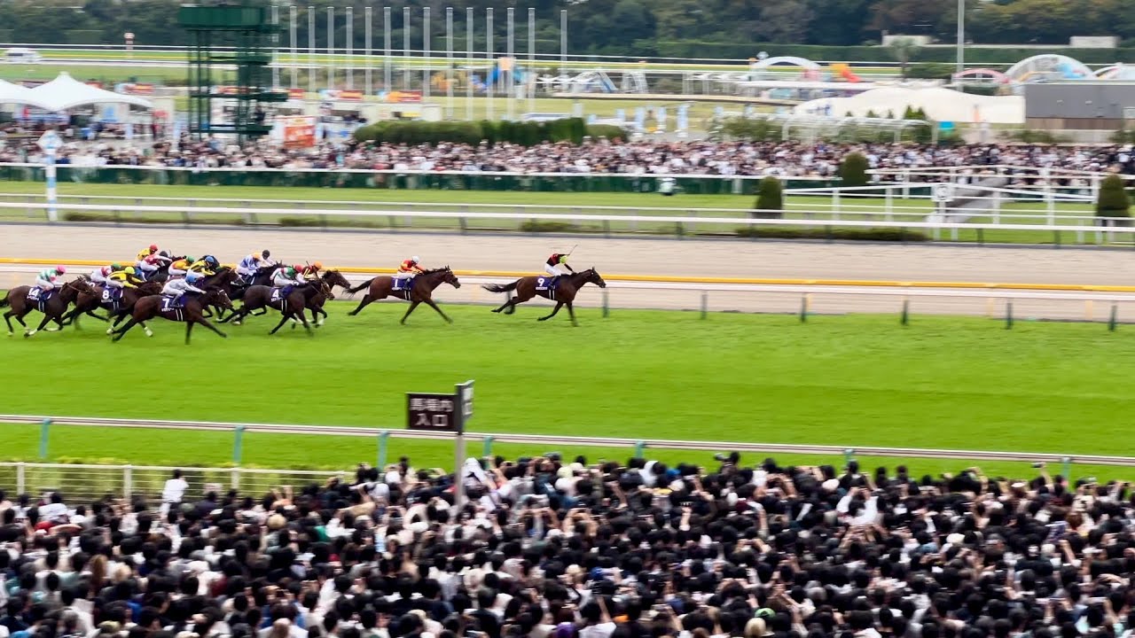 【現地映像 4K】2024.10.27(日) 東京11R 天皇賞(秋) (GⅠ)【ドウデュース】