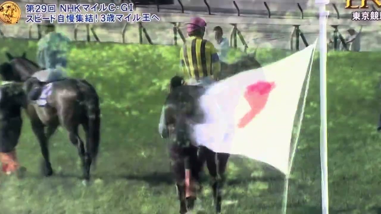 2024年 NHKマイルカップ ファンファーレ🎶 通常ver.