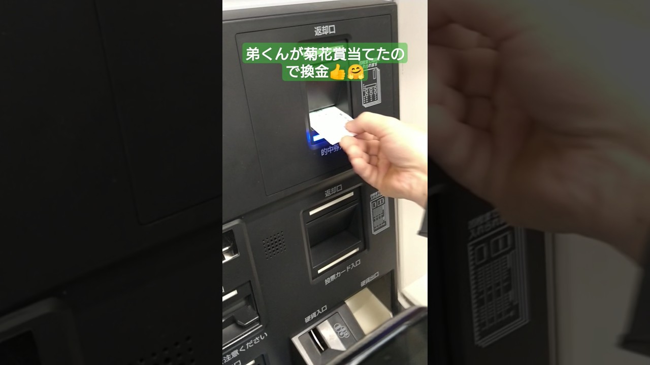 弟くんが菊花賞当て換金 おめでとう #shorts #short #菊花賞 #おめでとう #競馬