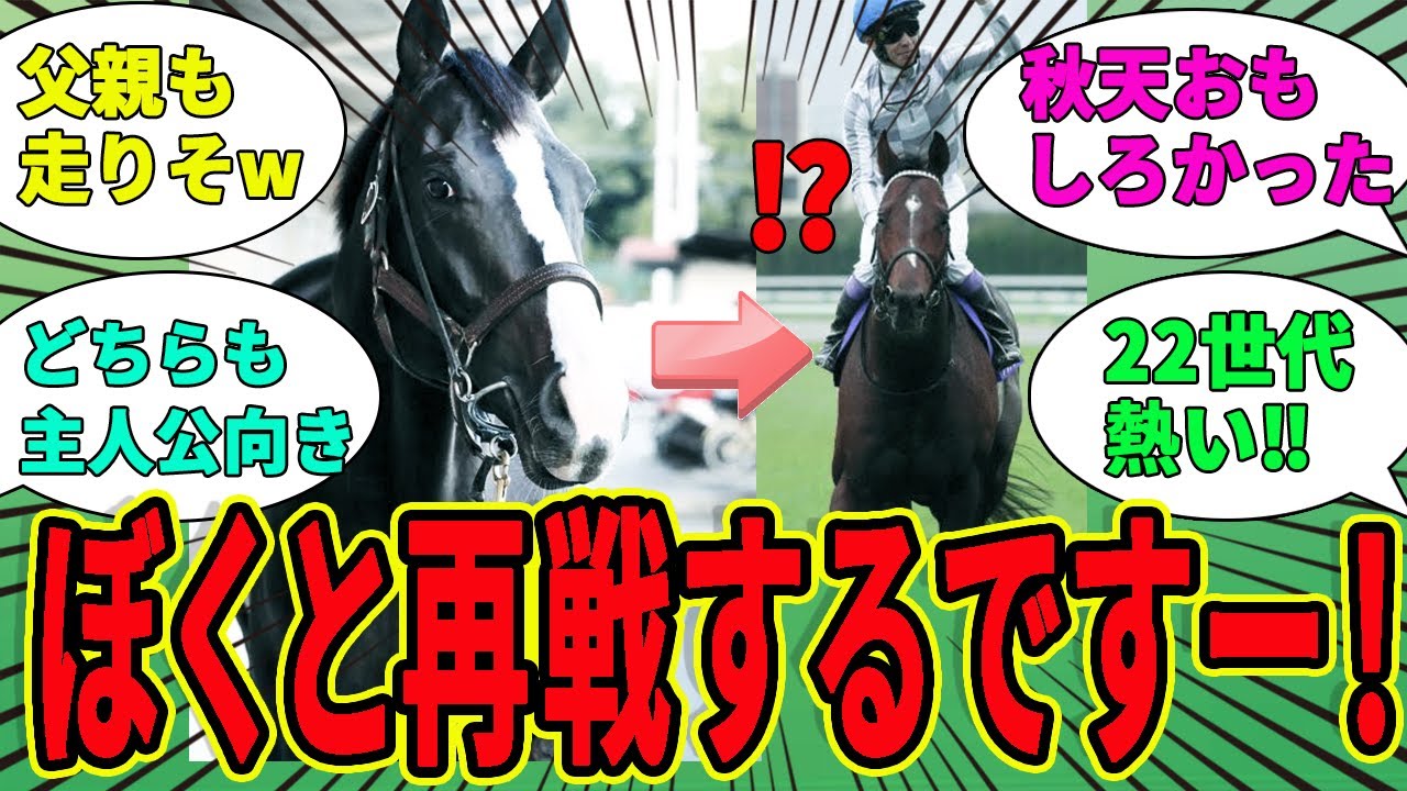 【イクイノックス】天皇賞秋の覇者・ドウデュースよ…もう1度ぼくと戦うですー!!に対するみんなの反応集【競馬の反応集】