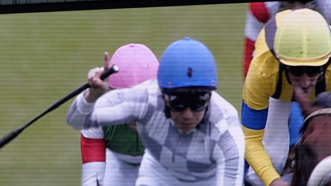 【武豊】ドウデュース 天皇賞・秋のレースごコメントと皆様からいただいたコメント返し