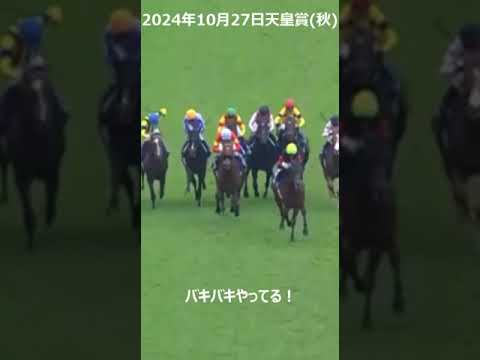 【競馬ハプニング】天皇賞・坂井瑠星騎手のジャスティンパレス・ばきばき。負けて強し！ジャパンカップは買いじゃねえ。 #競馬ハプニング