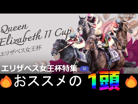 【2024 エリザベス女王杯】乱戦を勝ち抜く馬は間違いなくこの1頭だ！！生涯収支100％超えの男がおススメする馬・穴馬を発表！