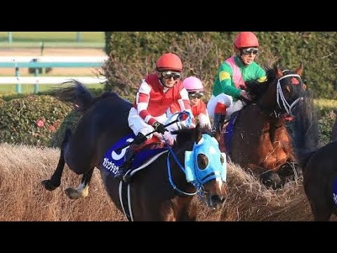 昨年の中山大障害覇者 3年1カ月ぶりに平地競走チャレンジ