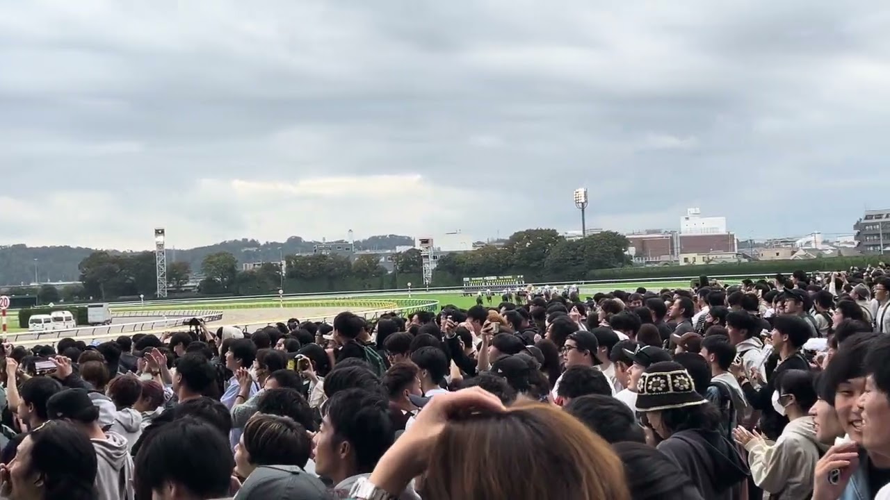 天皇賞(秋) 2024年　現地映像!!