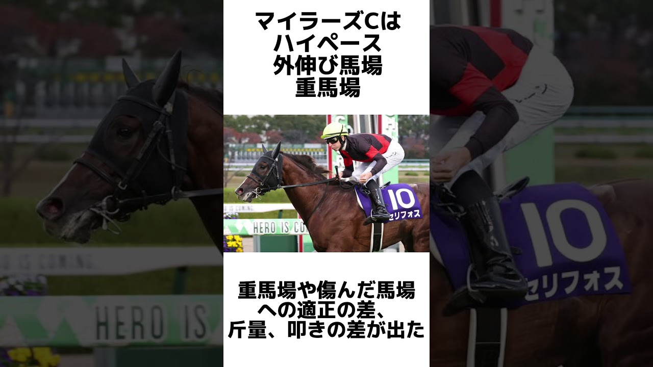 【安田記念2024】セリフォスについて　#安田記念　#ダノンスコーピオン #セリフォス #ソウルラッシュ #ロマンチックウォリアー #ナミュール ヴォイッジバブル #ガイアフォース