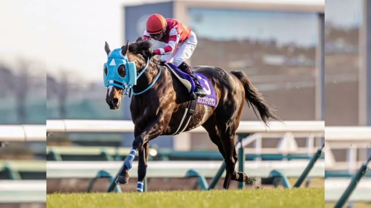 中山グランドジャンプ３連覇の名ジャンパー・カラジが２９歳で死す