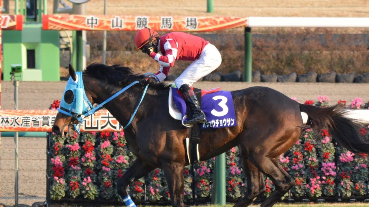 昨年の中山大障害覇者 3年1カ月ぶりに平地競走チャレンジ