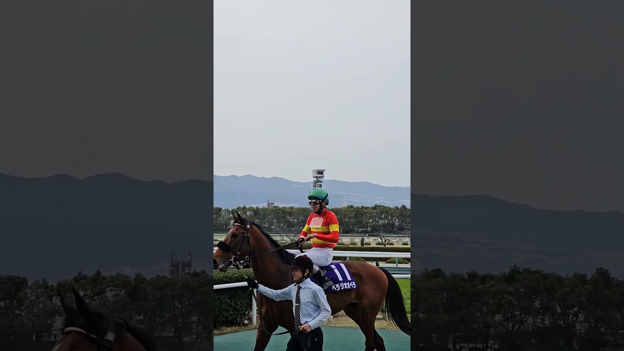 喜びを爆発させる横山和生騎手 #競馬 #jra #大阪杯 #べラジオオペラ #競馬好き #阪神競馬場 #short #ショート動画