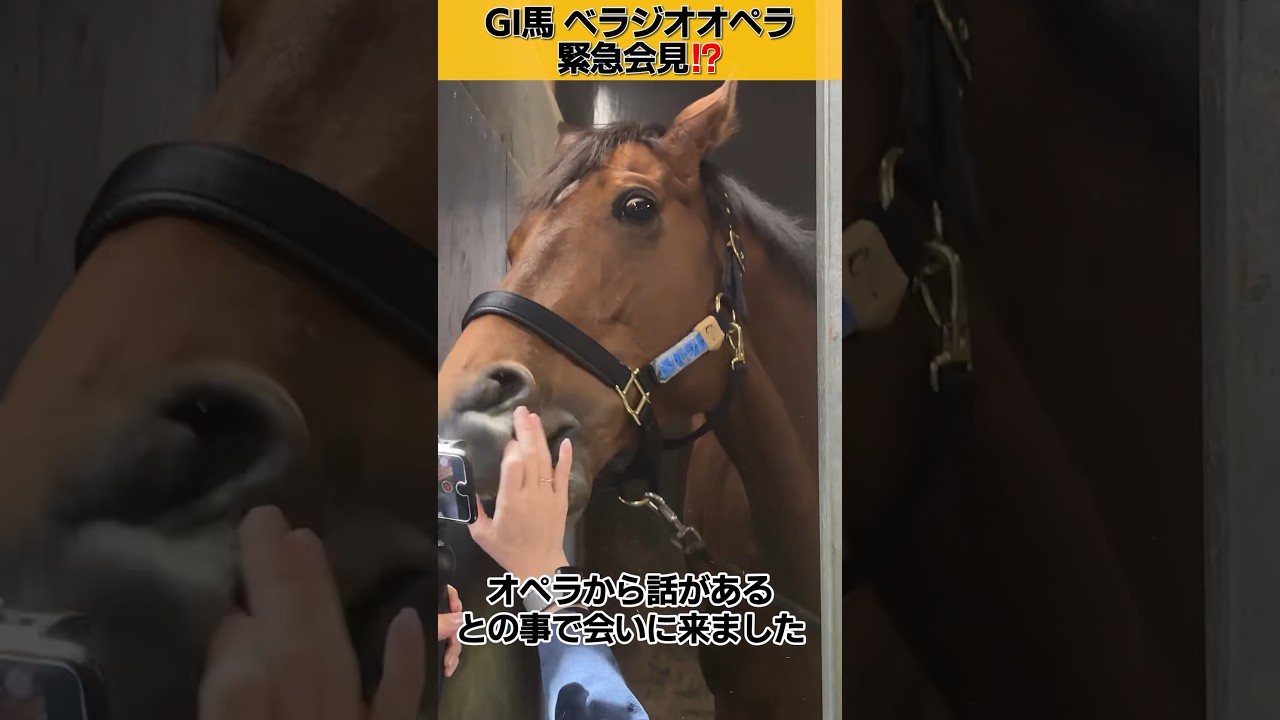 GⅠ大阪杯優勝馬「べラジオオペラ」が緊急会見!?～応援してくださるみなさまへ～