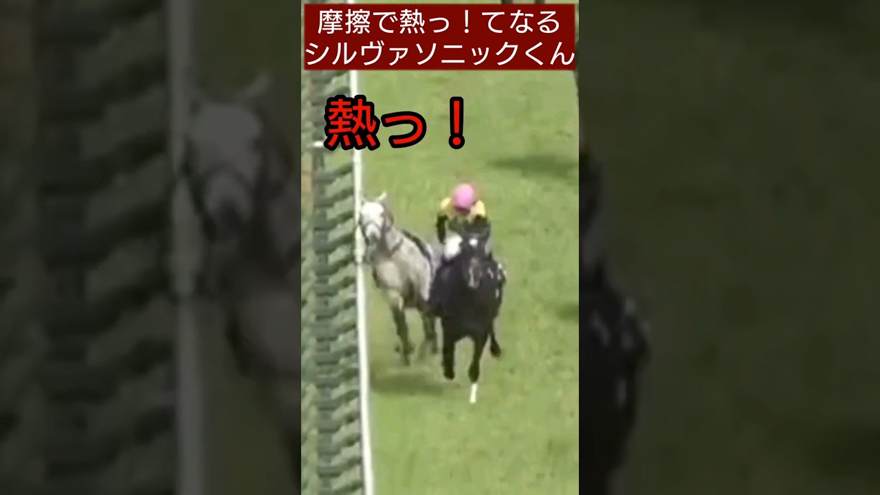 天皇賞春 シルバーソニック 落馬で2着 オルフェーヴルの仔 引退