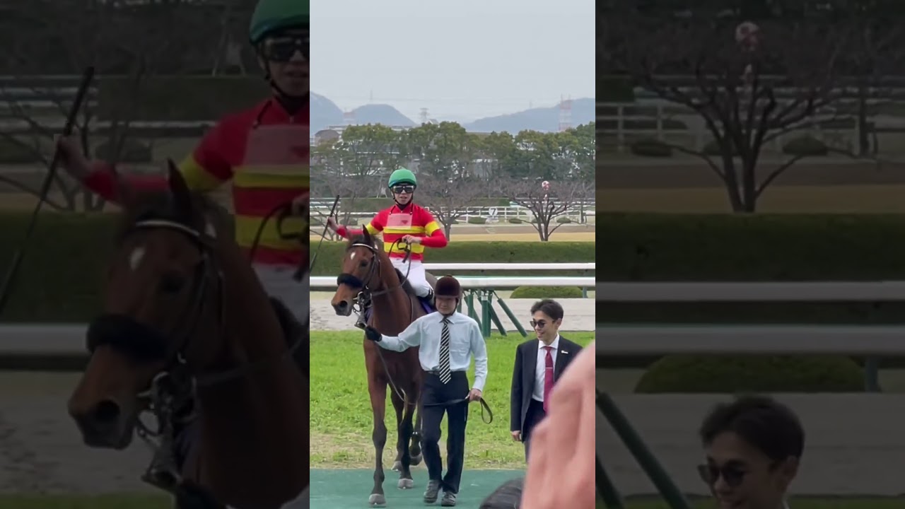 【 #大阪杯2024 】 ムチを投げる横山和生とべラジオオペラ #競馬 #g1 #大阪杯