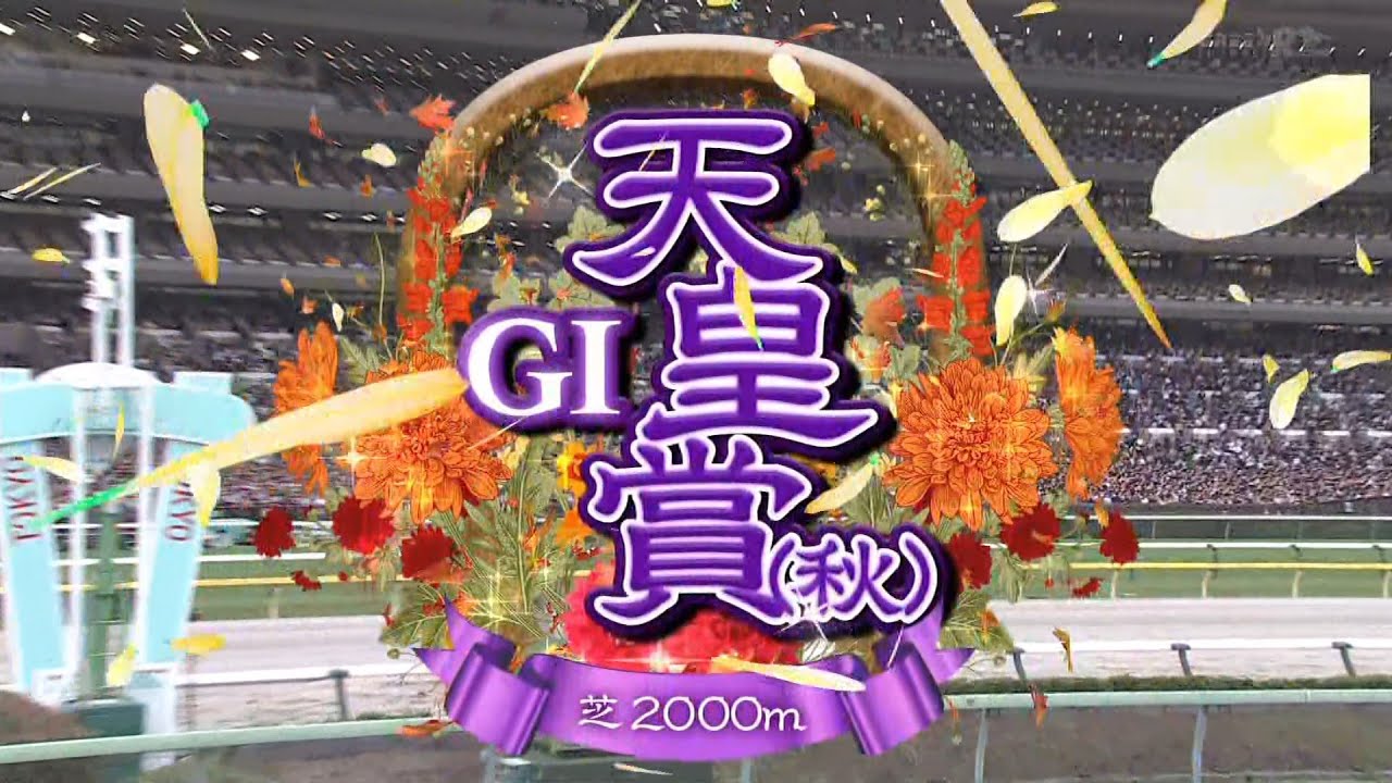 2024年第170回天皇賞（秋）【高画質、高音質】