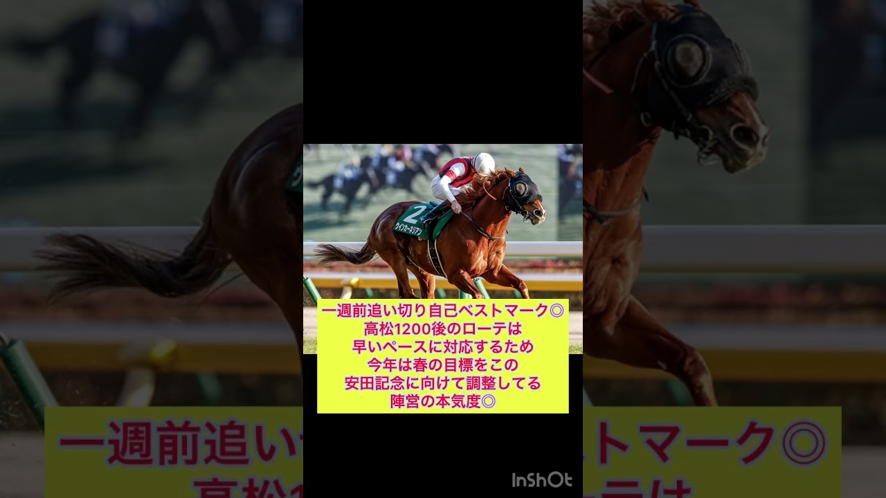 #競馬 #安田記念 #安田記念2024 #競馬予想 #ウインカーネリアン