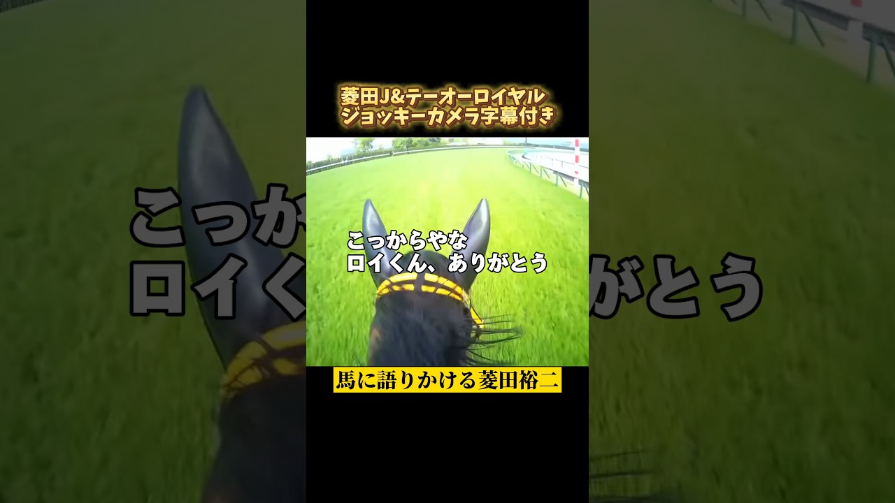 【ありがとうロイくん】天皇賞春2024 #shorts #競馬