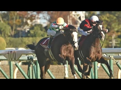 【朝日杯FS想定馬・騎手】アルテヴェローチェ、パンジャタワーなど16頭