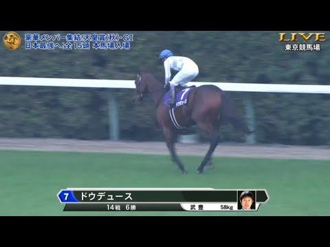 2024年 天皇賞秋 (GI) 本馬場入場【ドウデュース】