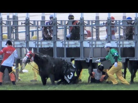 【競馬ハプニング】エリザベス女王杯day 第9R 池添騎手騎乗の③ショウナンバルドルがゲートを潜って放馬‼ 現地映像
