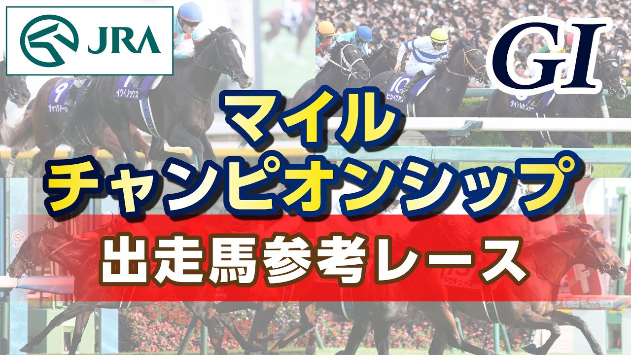 【参考レース】2024年 マイルチャンピオンシップ｜JRA公式