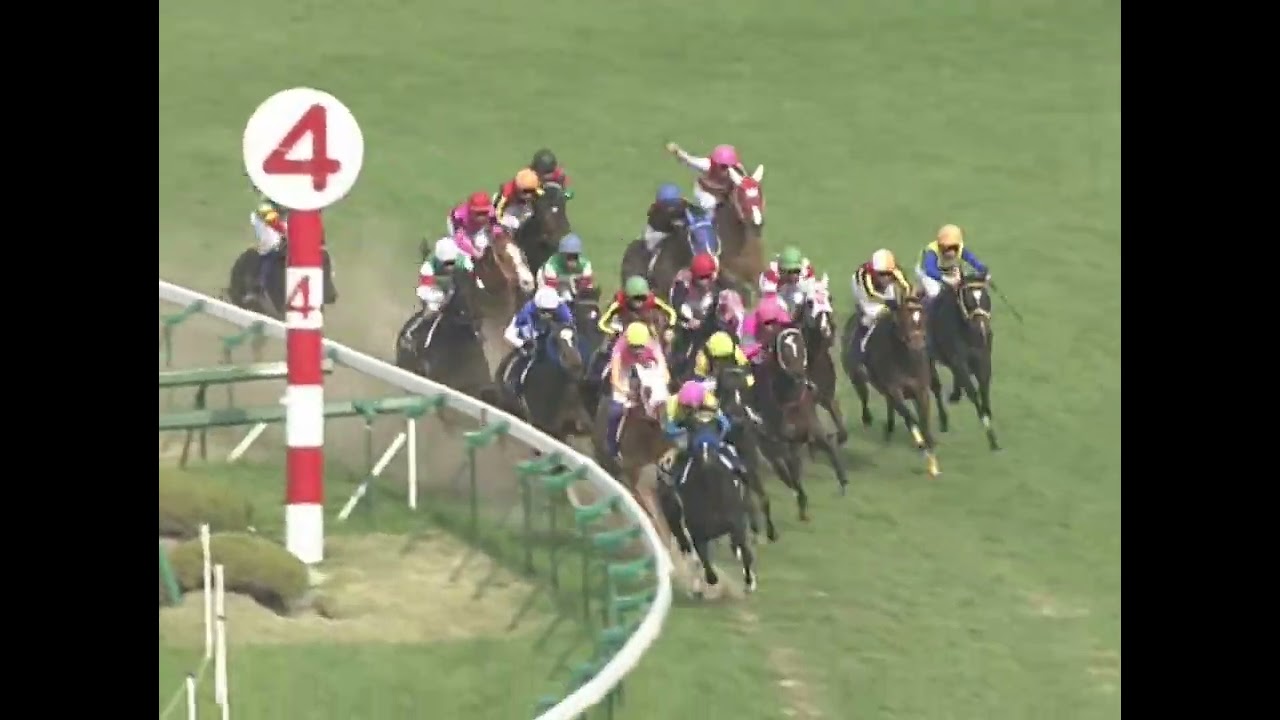 ラインクラフト 2005年 第65回桜花賞(GI) (優勝馬：ラインクラフト)