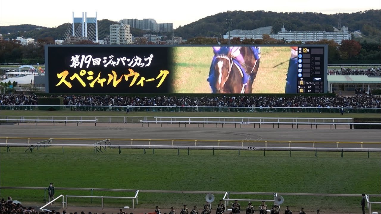 【ジャパンカップ2024】レース前のカッコいい煽りV〜ファンファーレ生演奏【現地】