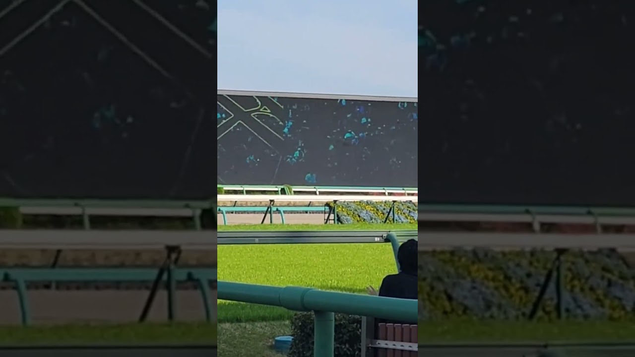 2024中山グランドジャンプ 現地 ファンファーレ ウィナサ最前列なのに生ファンファーレじゃなかった…