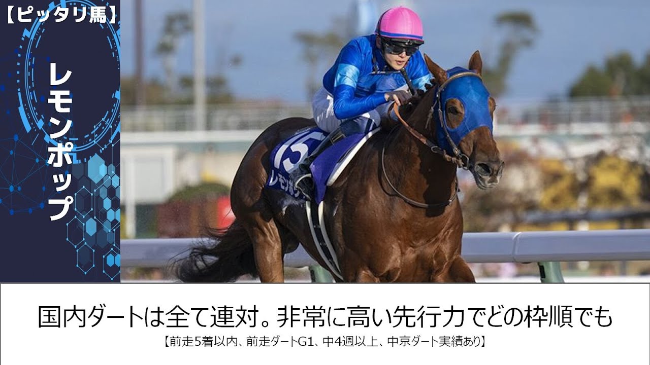 【チャンピオンズカップ2024】このレースは"特徴"がある！●●を回ると致命的！？