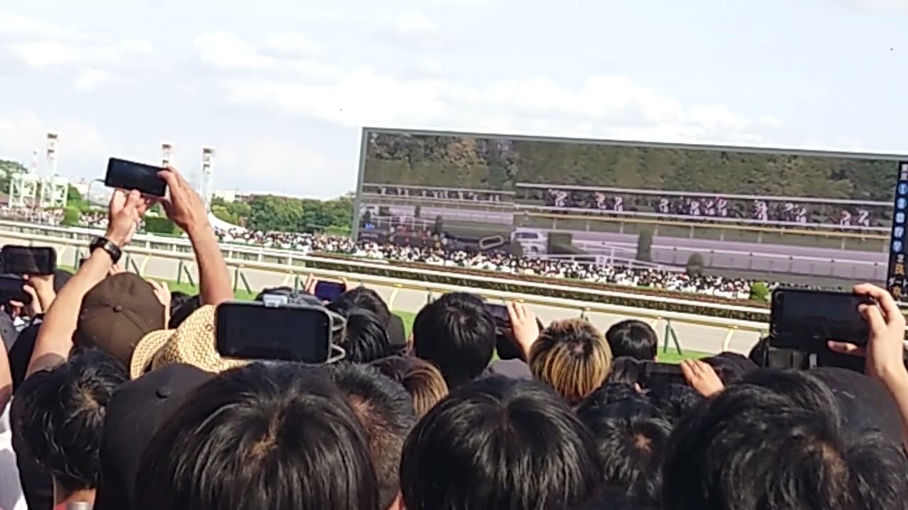 2024 東京優駿　日本ダービー　現地観戦